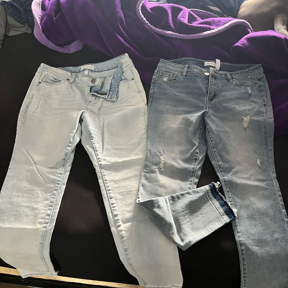 Two pairs of size 14 lane bryant pants